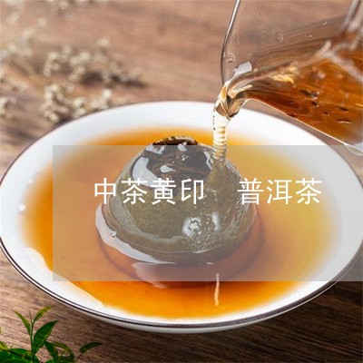 中茶黄印 普洱茶/2023031661694